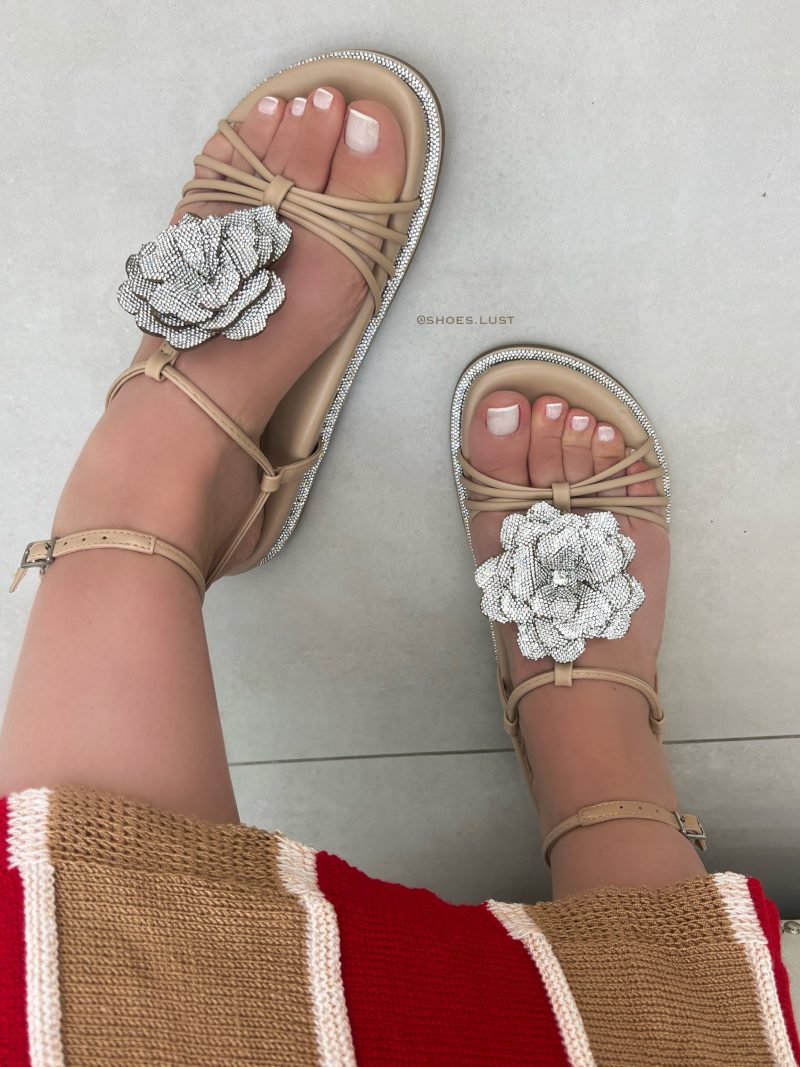 papete jet animal print 385665092 (cópia)