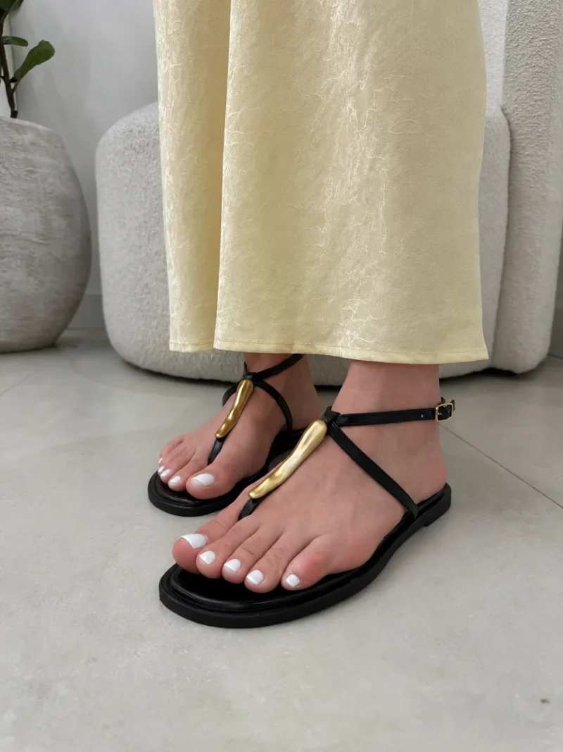 img 0342